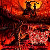 FORMLESS TERROR / Sovereign Chaos Authority 