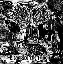 SHROUD OF SATAN / Litany To The Moon ()