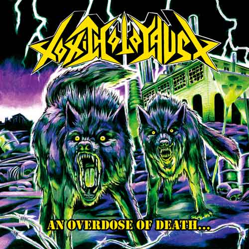 TOXIC HOLOCAUST/MUNICIPAL WASTE / Toxic Waste Split (12