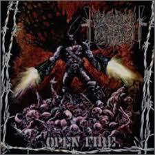 DEMONICAL CRISIS ASSEMBRY / Open Fire