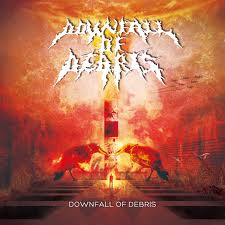 DOWNFALL OF DEBRIS / Downfall of Debris