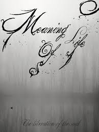 MEANING OF LIFE / The Liberation Of The Soul