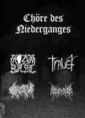 LEICHENSTATTE/BALNASAR/FROZEN BRIAL/TRAUER / Chöre des Niederganges (4way split CDr 225limited)