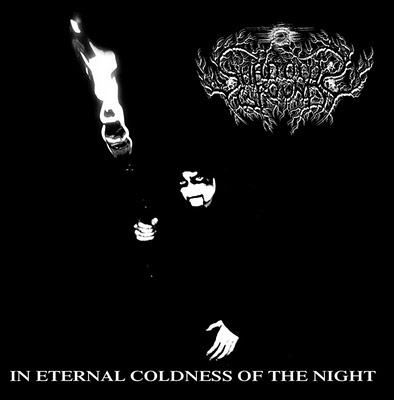 SHADOW GROUND / In Eternal Coldness Of The Night (slip)