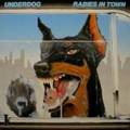 UNDERDOG / Rabies in Town