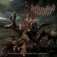 UNFATHOMABLE RUINATION / Misshapen Congenital Entropy