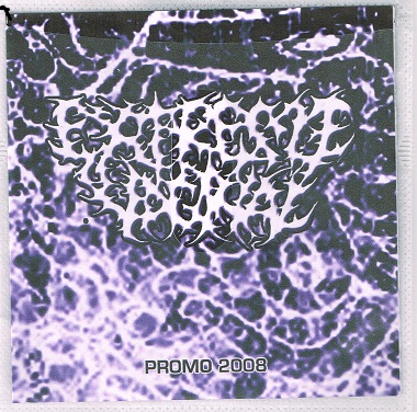 EXTREME VAGINAL / Promo 2008 (Áj