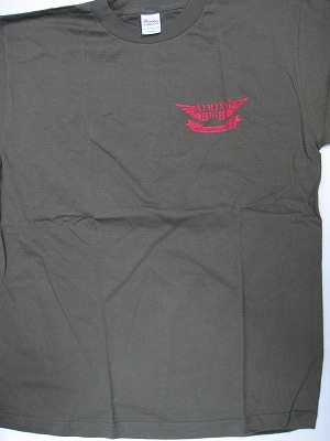 AIMING HIGH / Metal Fighter Squadron (TS-L/J[L)