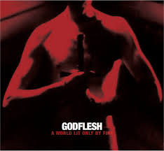 GODFLESH / A World Lit Only by Fire i2CD) (j