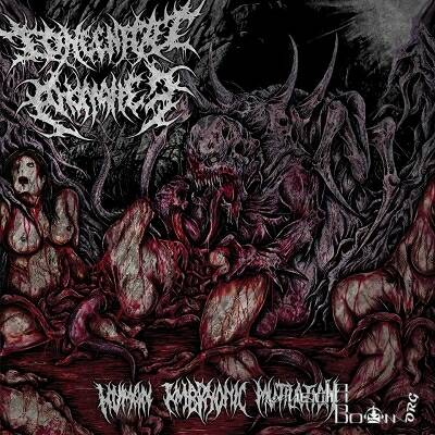 CONGENITAL ANOMALIES / Human Embryonic Mutilation