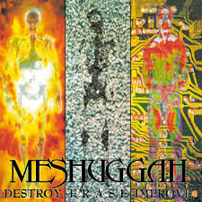 MESHUGGAH / Destroy Erase Improve ()