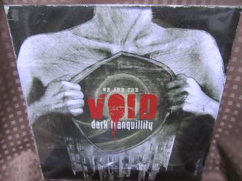 DARK TRANQUILLITY/ We are the Void (LP)