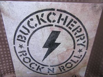 BUCKCHERRY / Rock n Roll (LP)