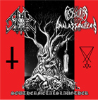 ANAL DESTRUCTOR/FLESH HUNTER AND THE ANALASSAULTERS / Southernmetalslaughter (split)