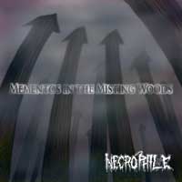 NECROPHILE / Mementos in the Misting Woods