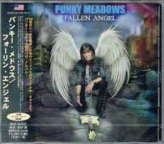 PUNKY MEADOWS / Fallen Angel (国内盤）angel