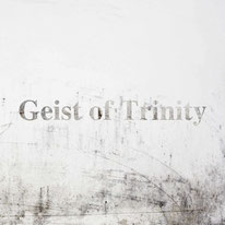 GEIST OF TRINITY / Geist of Trinity (TFXebJ[j