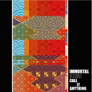 IMMORTAL SENSE / Call it Anything