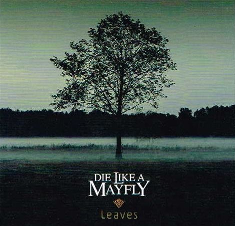 DIE LIKE A MAYFLY / Leaves