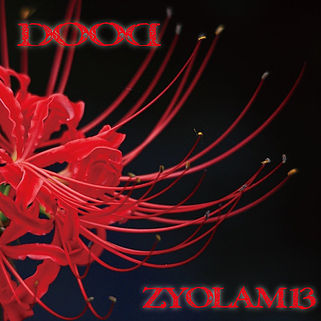 ZYOLAM13 / Doom