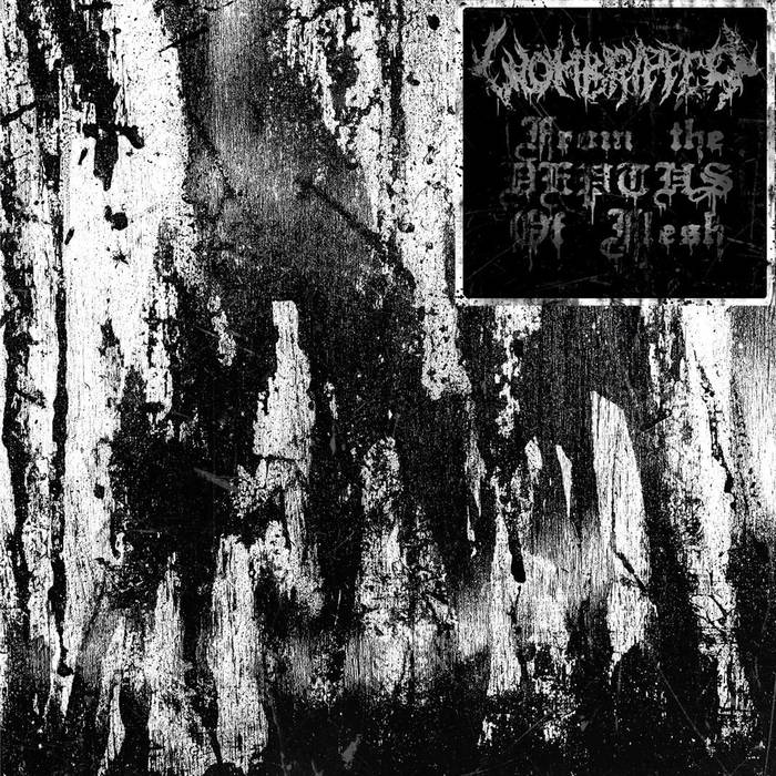 WOMBRIPPER / From the Depths of Flesh