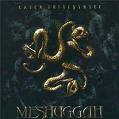 MESHUGGAH / Catch Thirtythree