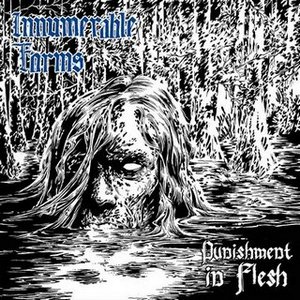 INHUMERABLE FORMS / Punishment In Flesh (LP)