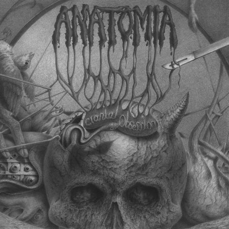 ANATOMIA / Cranial Obsession
