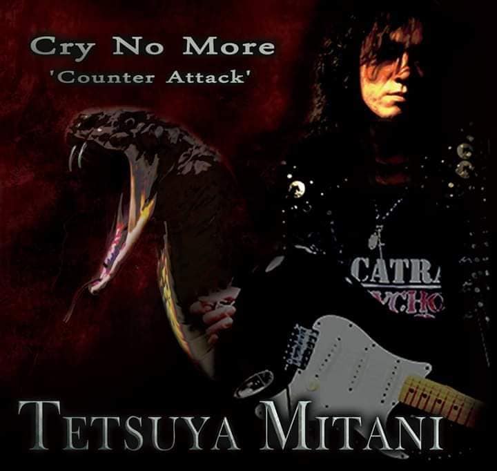 TETSUYA MITANI / Cry No More -Counter Attack OJN