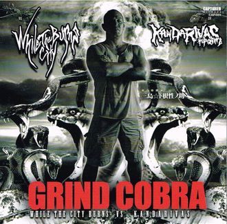 WHILE THE CITY BURNS/KANDARIVAS / Grind Cobra (split)