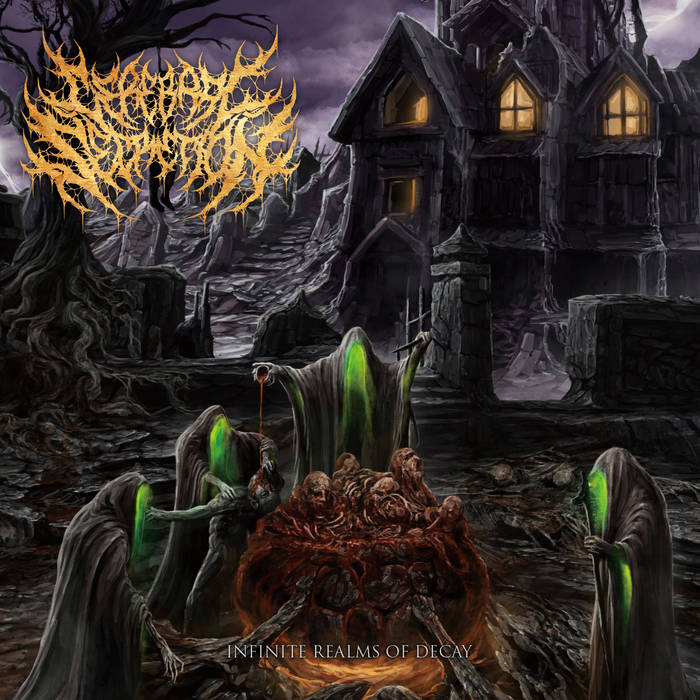 CEREBRAL SECRETION / Infinite Realms Of Decay 