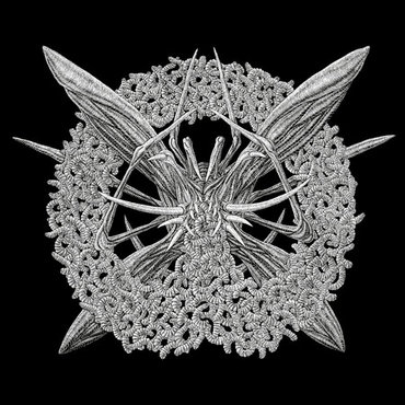 MALLEPHYR / Womb Of Worms
