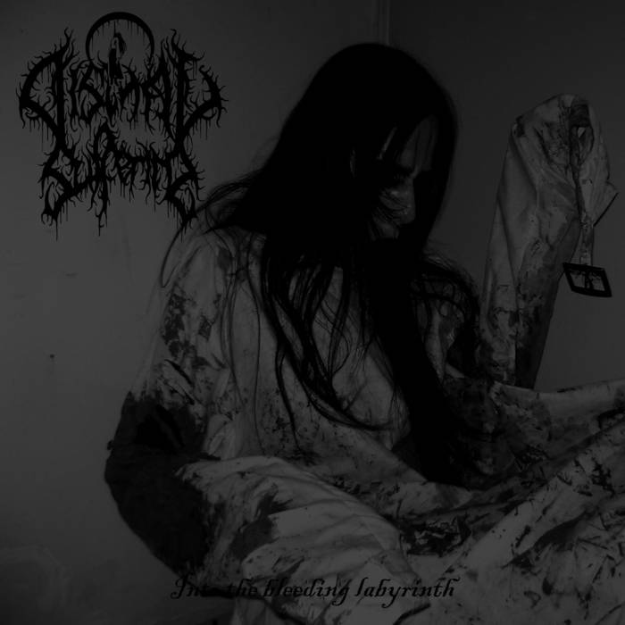 DISMAL SUFFERING / Into The Bleeding Labyrinth 
