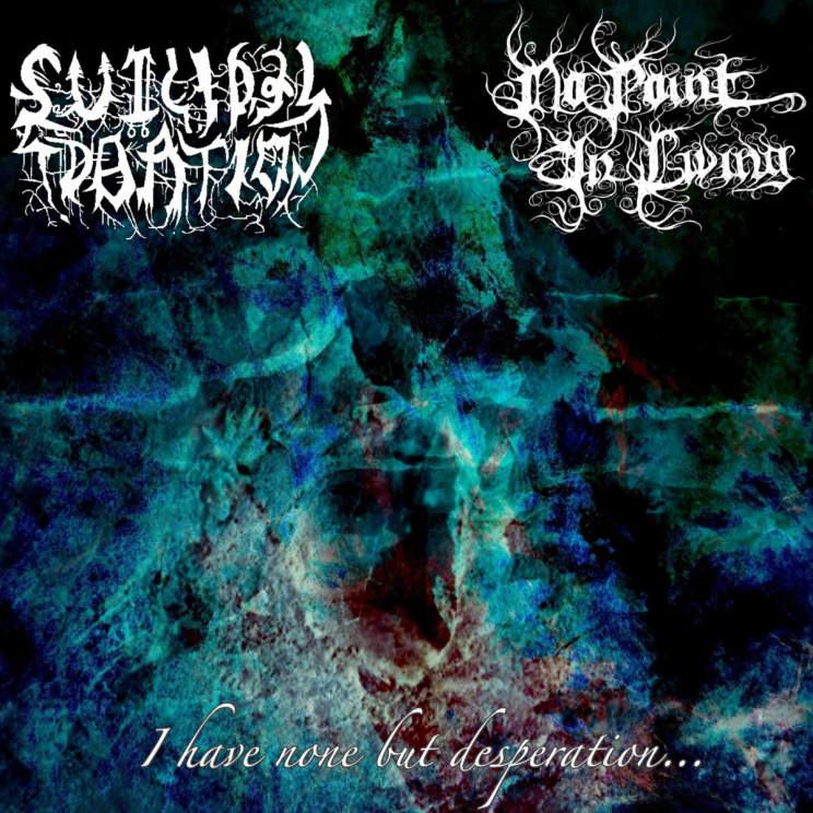 SUICIDAl IDEATION / NO POINT IN LIVING / I have None But Desperation (split)