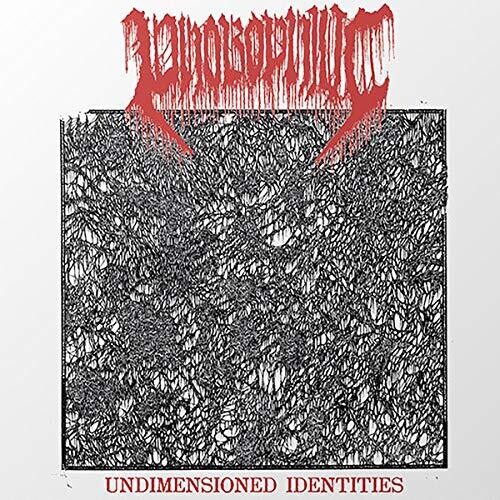 PHOBOPHILIC / Undimensioned Identities