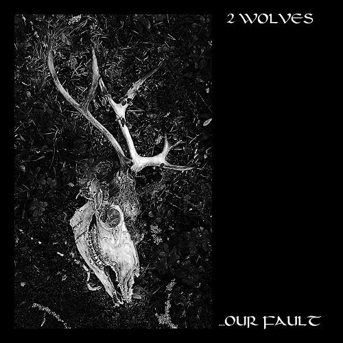 2 WOLVES / Our Fault