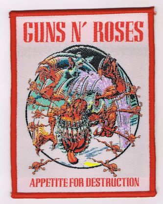 GUNS N' ROSES / Appetite for SKULL (SP)