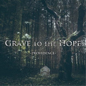 GRAVE TO THE HOPE / Providence