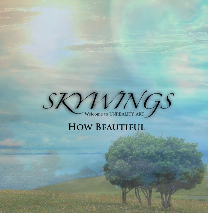 SKYWINGS / How Beautiful