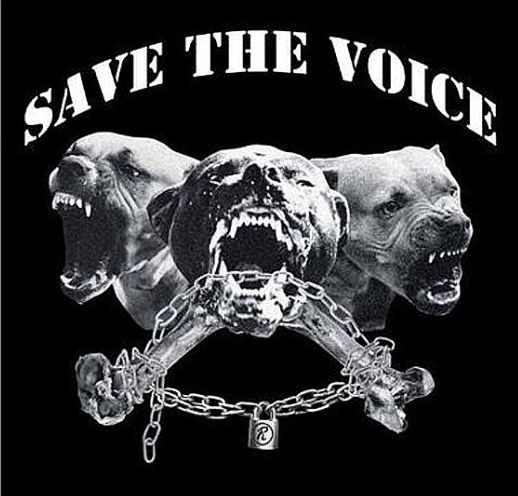 V.A / Save the Voice (2CD)