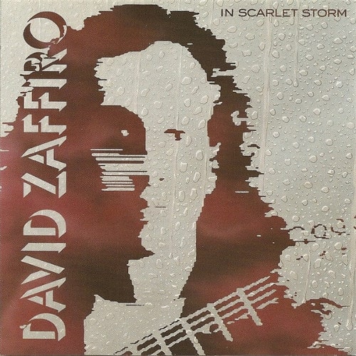 DAVID ZAFFIRO / In Scarlet Storm (2020 reissue)