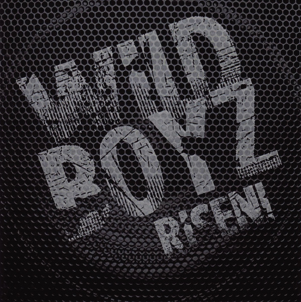 WILD BOYZ / Risen! (̃ChE{[CY̖\/AWI)