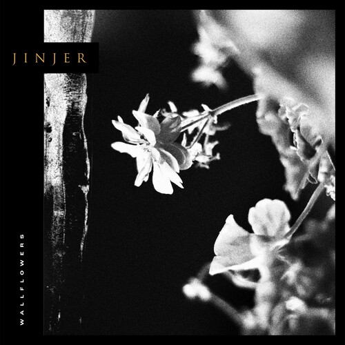 JINGER / Wallflowers (digi)