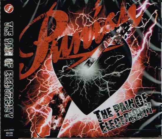 PUNISH / The Pain Of Electricity (1st!祈願の再プレスで入荷!!)