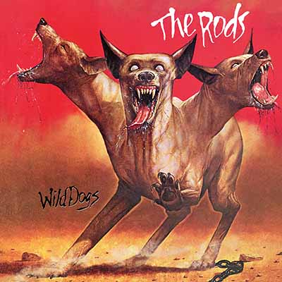 THE RODS / Wild Dogs (slip)(2021 reissue)