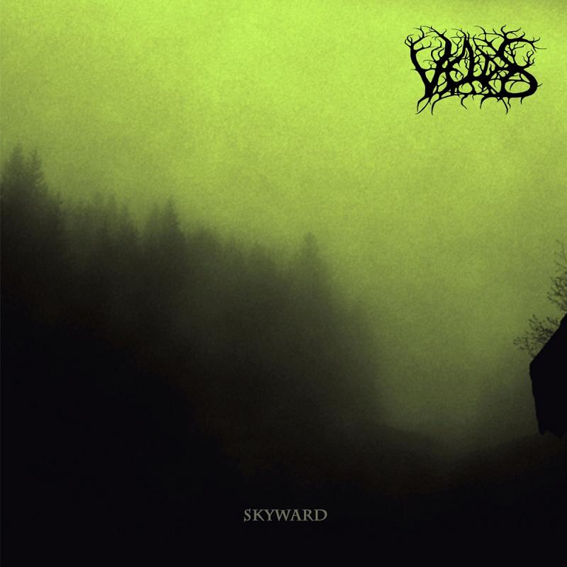 VELDES / Skyward ()