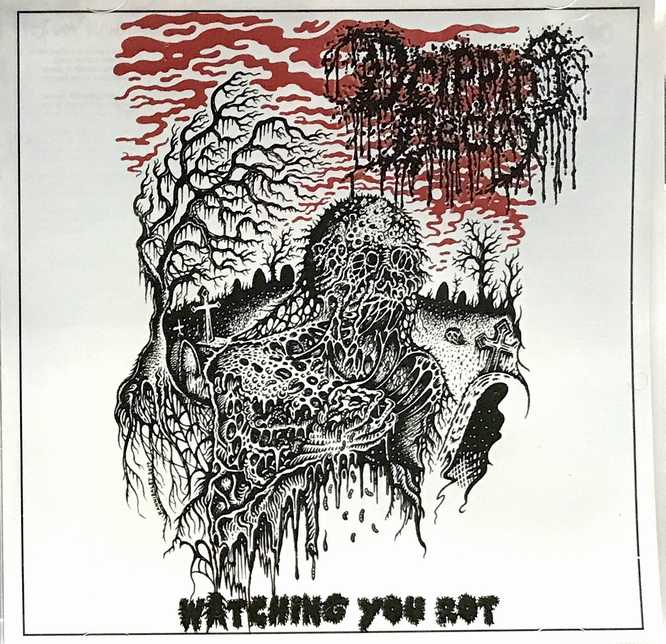 DRIPPING DECAY / Watching You Rot