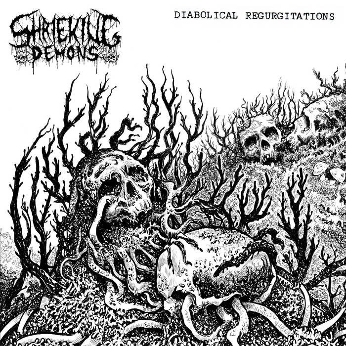 SHRIEKING DEMONS / Diabolical Regurgitations