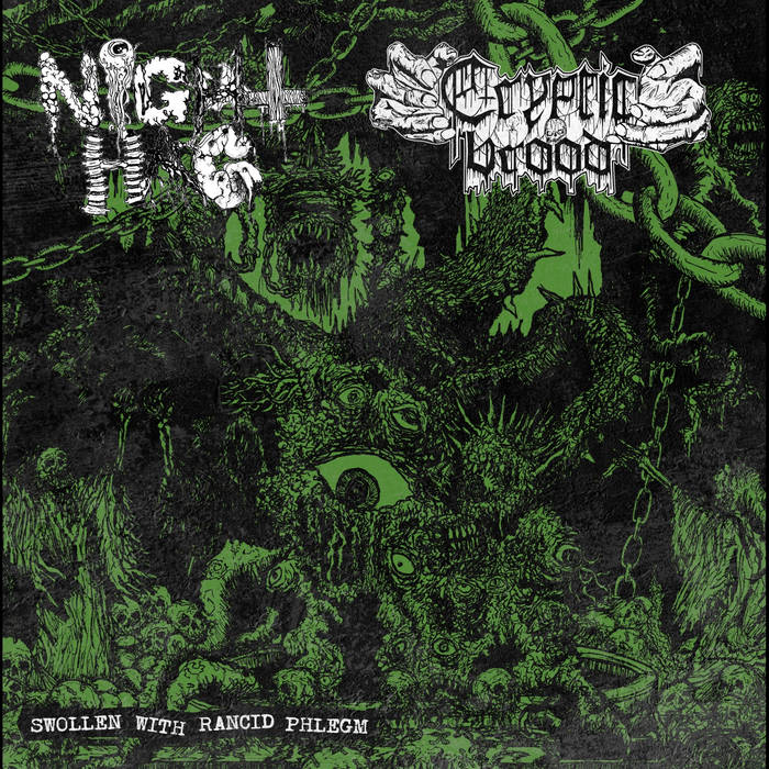 CRYPTIC BROOD / NIGHT HAG / split