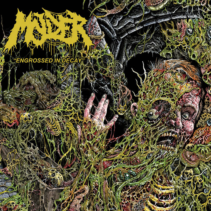 MOLDER / Engrossed in Decay (NEW!)